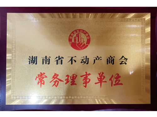 湖南省不动产商会常务理事单位